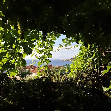 Longin Sea View